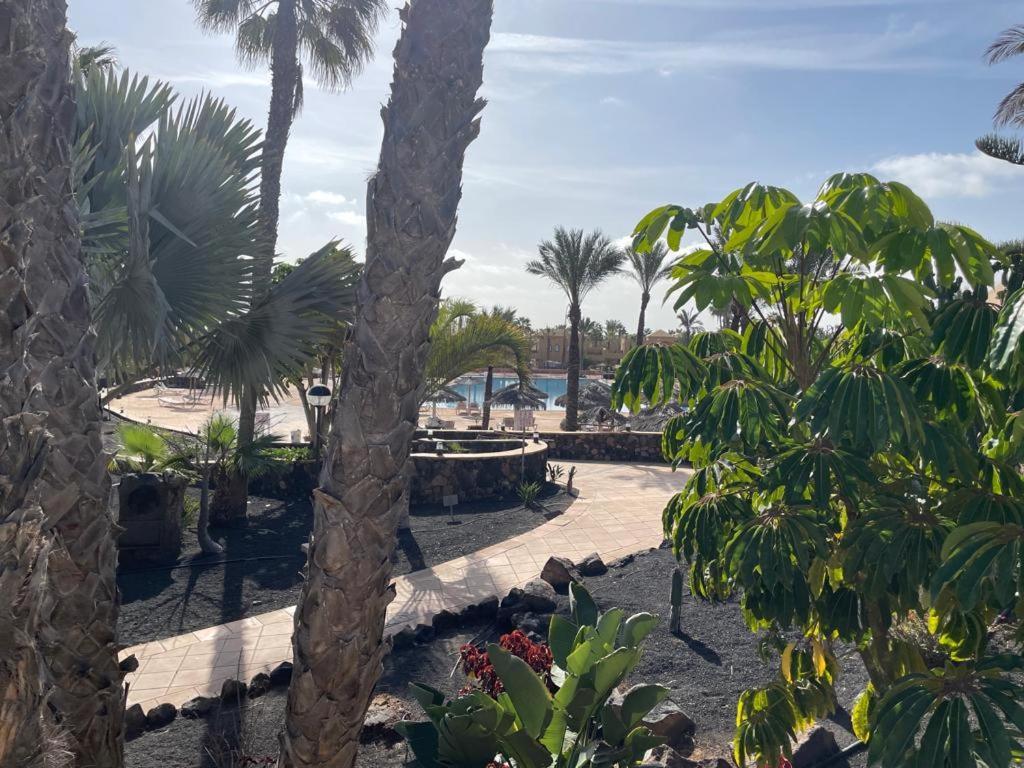 Appartement Casa Mari Y Jose Con Grandes Piscinas Y Wifi Gratis à Corralejo Extérieur photo