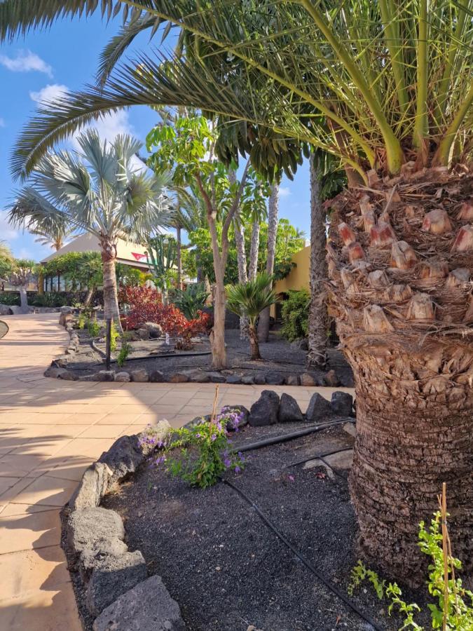 Appartement Casa Mari Y Jose Con Grandes Piscinas Y Wifi Gratis à Corralejo Extérieur photo